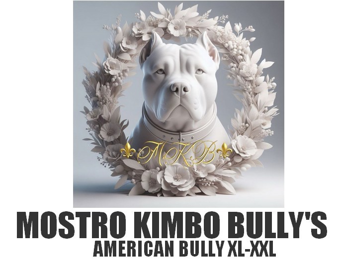 mostrokimbobully